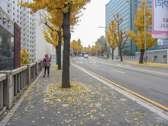 韓國首爾城廓路 秋天街景