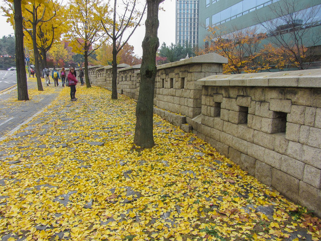 韓國首爾城廓路 秋天紅葉、金黃銀杏漂亮街景