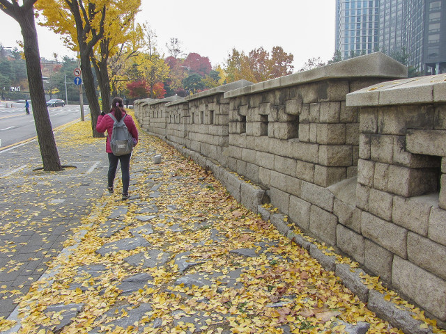 韓國首爾 會賢山腳 首爾城廓路秋天紅葉、金黃銀杏景色