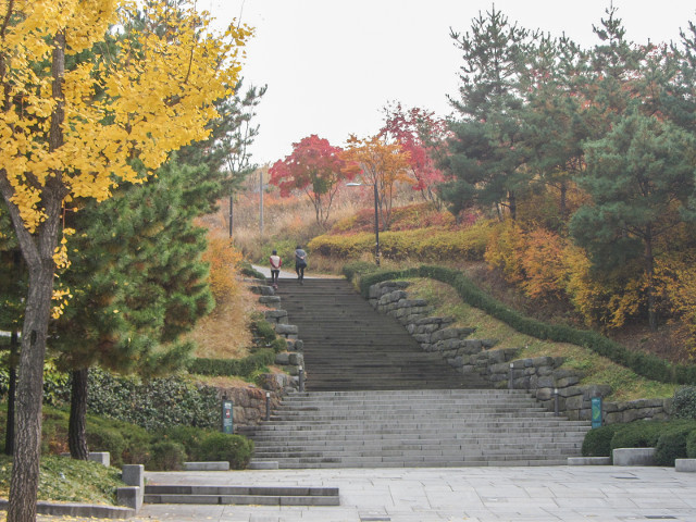 韓國首爾南山公園入口 秋天紅葉、金黃銀杏漂亮街景