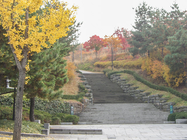韓國首爾南山公園入口 秋天紅葉、金黃銀杏漂亮景色