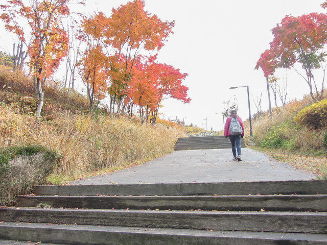 韓國首爾南山公園入口 秋天紅葉景色