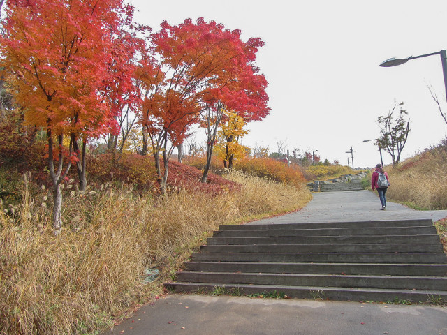 韓國首爾南山公園入口 秋天紅葉景色