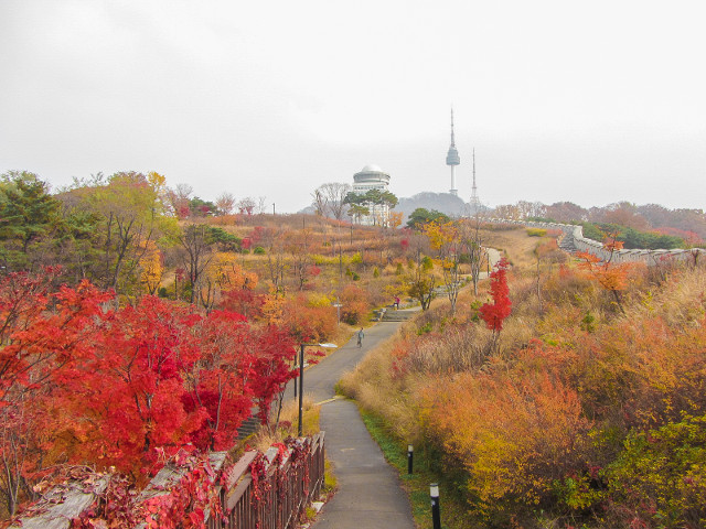 韓國首爾南山公園 首爾城郭 首爾塔 秋天紅葉景色