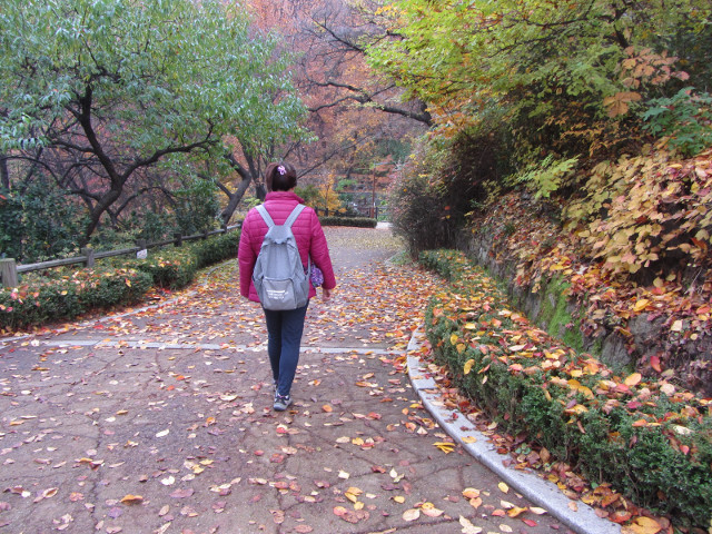 韓國首爾南山公園 南山登山口 秋天紅葉景色
