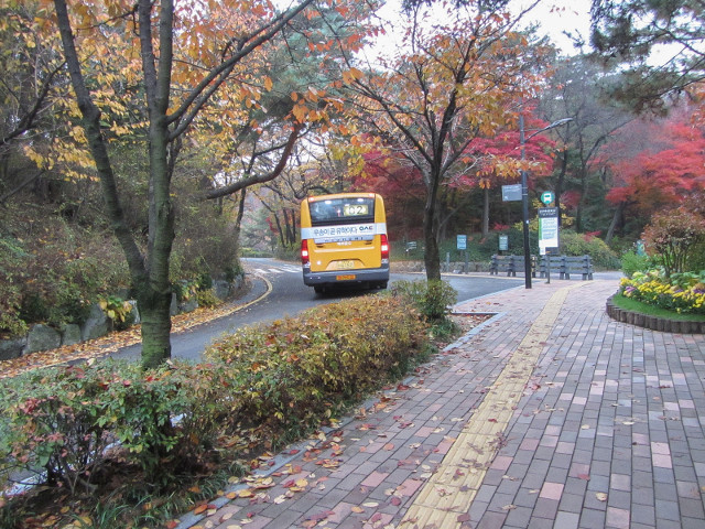 首爾南山公園 南山南側循環路 往首爾塔黃色巴士