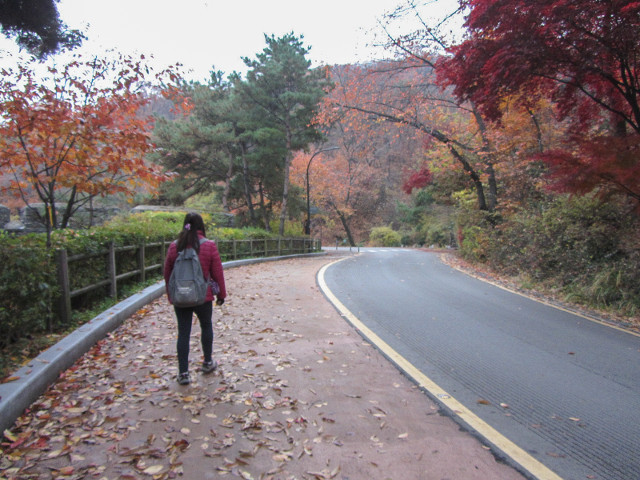 首爾南山南側循環路 一半是人行步道, 另一半是車道