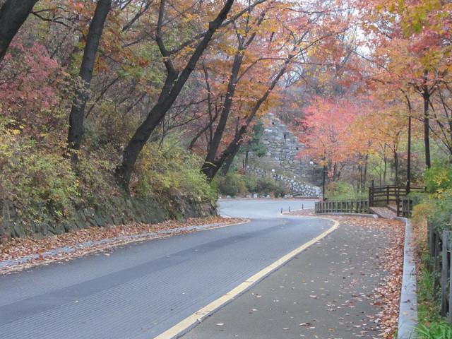 首爾南山公園 南山南側循環路 秋天紅葉景色