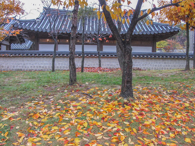 韓國首爾南山谷韓屋村 傳統韓屋