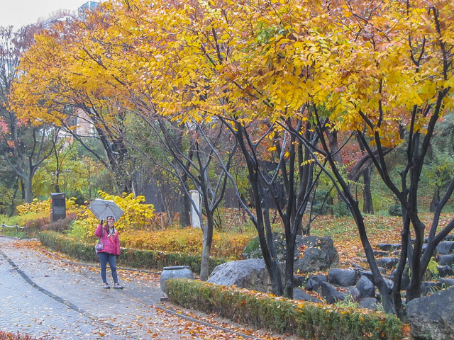 韓國首爾南山谷韓屋村 秋天紅葉景色