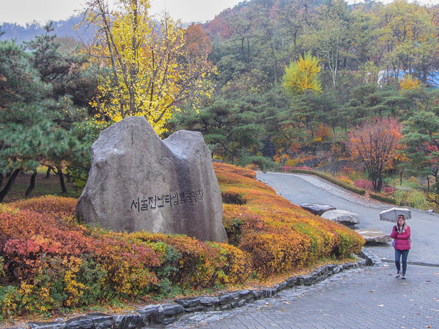 韓國首爾南山谷韓屋村 秋天紅葉、金黃銀杏景色
