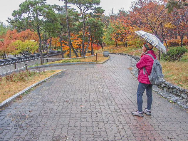 韓國首爾南山谷韓屋村 秋天紅葉景色