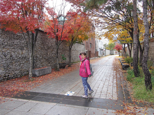 韓國首爾 三清洞石牆路南面入口 漂亮秋天紅葉