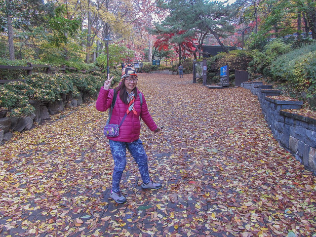 首爾三清洞 三清公園 秋天紅葉景色