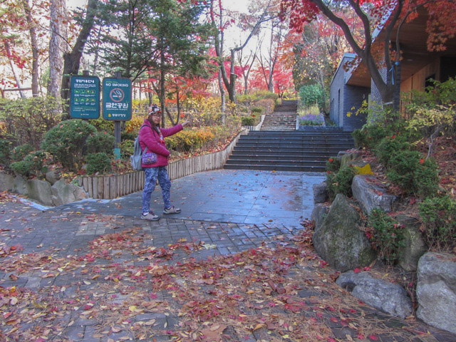 首爾三清洞 三清公園 北岳山首爾城郭登山路 秋天紅葉景色