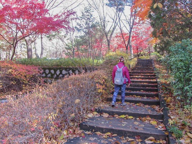 首爾三清洞 三清公園 北岳山首爾城郭登山路 秋天紅葉景色