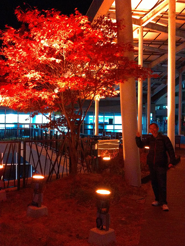 韓國丹陽南漢江 丹陽 Danuri 水族館 晚上變化萬千燈光