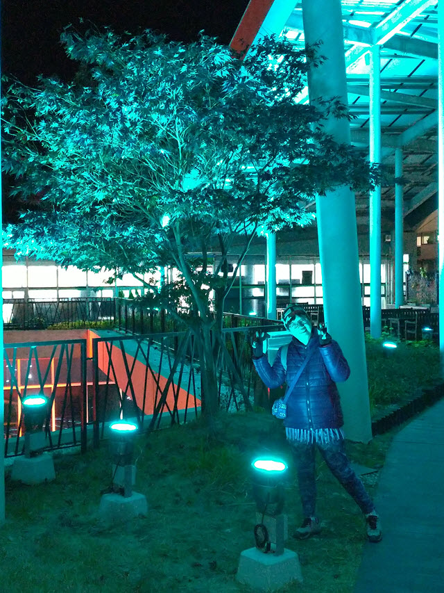 韓國丹陽南漢江 丹陽 Danuri 水族館 晚上變化萬千燈光