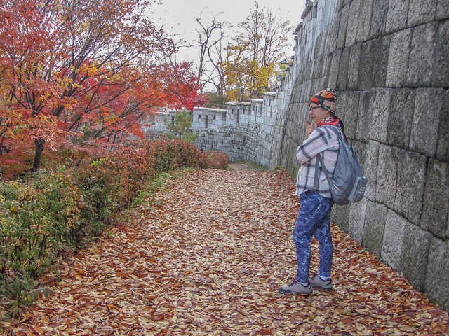 首爾城郭路北岳山段 秋天紅葉景色