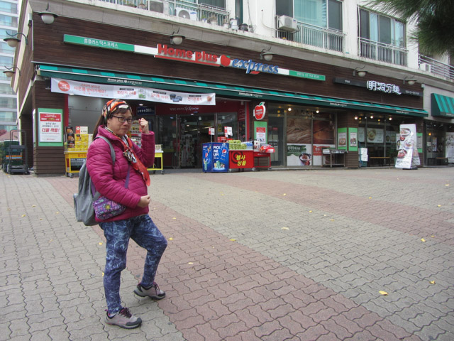 成均館大學步行往 首爾城郭惠化門