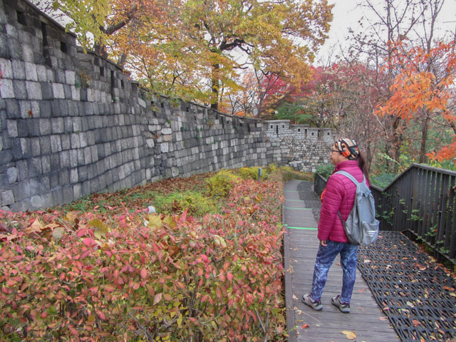 首爾城郭路駱山段 秋天紅葉景色