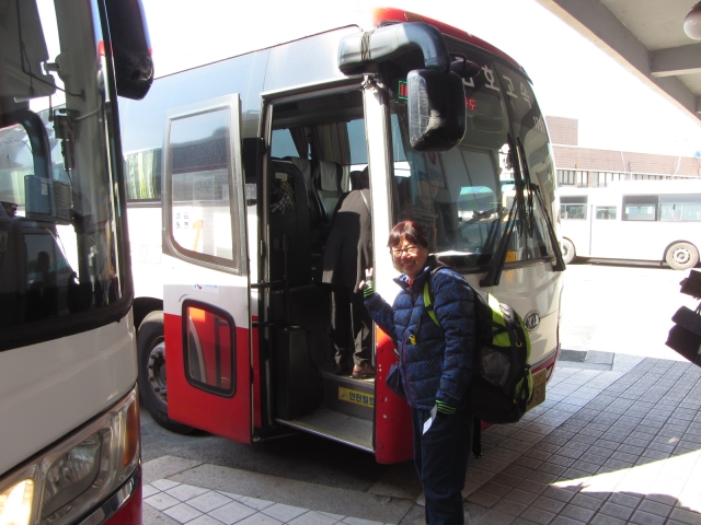 韓國海南綜合巴士客運站往莞島巴士