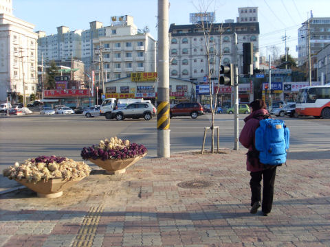 韓國江陵綜合客運站前往江陵住宿地圖路線