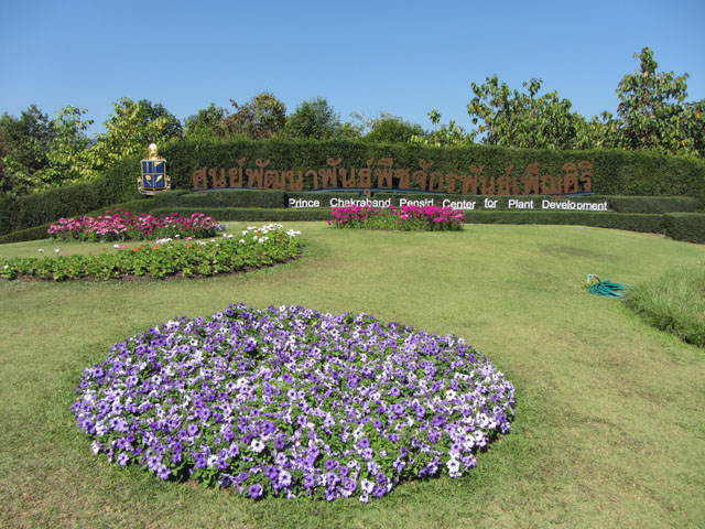 泰國 美塞 (Mae Sai) Prince Chakraband Pensiri Centre for Plant Development (Chan Ka Pak)