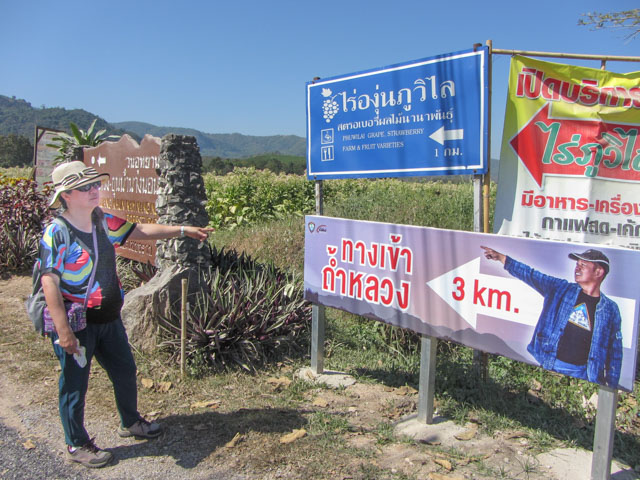 泰國清萊、美塞主幹公路 往 Tham Luang - Khun Nam Nang Non Forest Park 路口