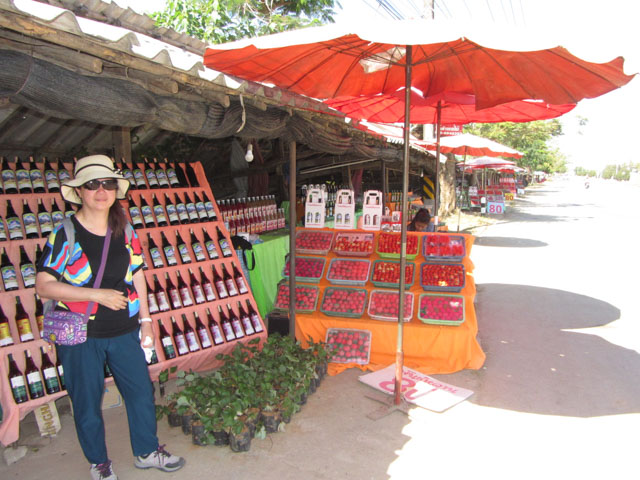 泰國清萊、美塞主幹公路旁 草莓店舖、攤販