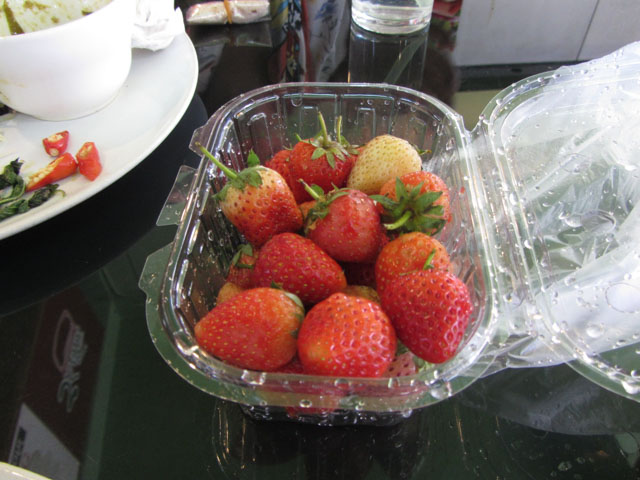 泰國美塞 泰緬邊境 草莓