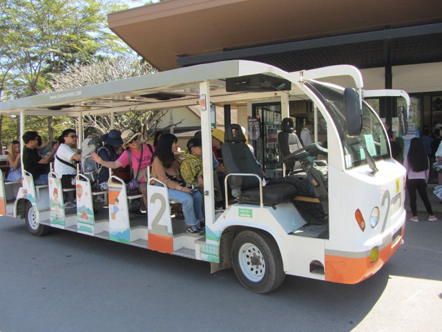 泰國清萊聖獅公園 (Singha Park) 遊覽車