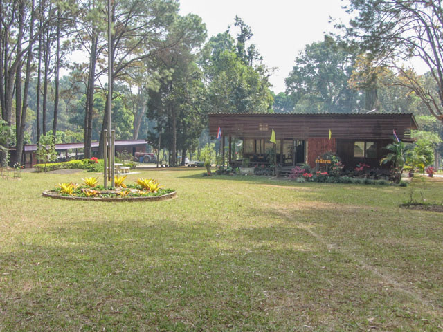 泰國 Boa Keaw Pine Park 松樹研究所及種子培植中心