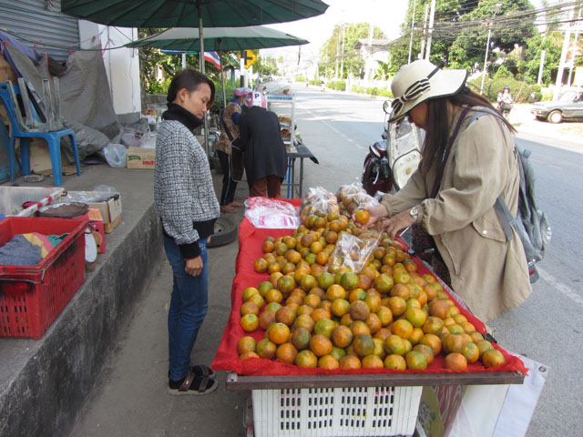泰國夜沙良 (Mae Sariang / อำเภอแม่สะเรียง) 水果攤販