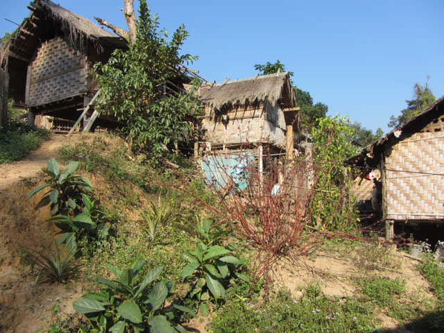 泰國 湄宏順 (Mae Hong Son) Ban Huai Suea Thao Long Neck Village (長頸族部落) 小數民族居住房子
