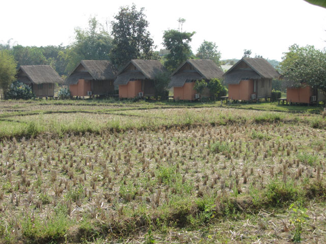 泰國 拜縣 (Pai) 鄉村、村莊、田野景色