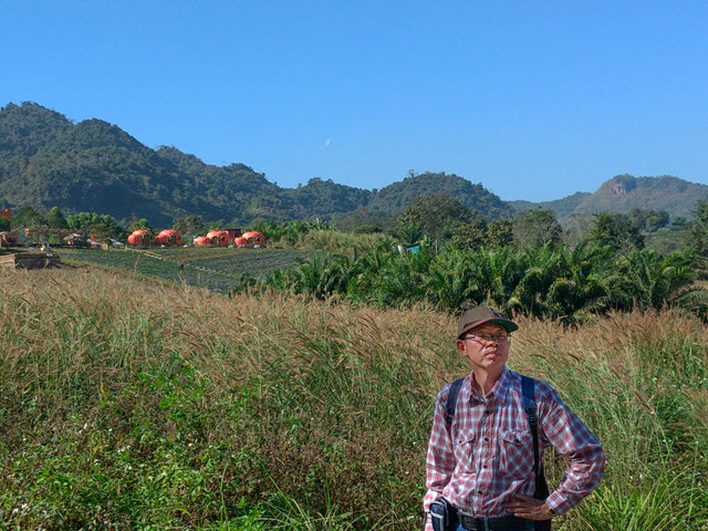 泰國美塞 步行到 Bao Noi Strawberry Plantation (ไร่บ่าวน้อยสตรอเบอร์รี่) 草莓種植場