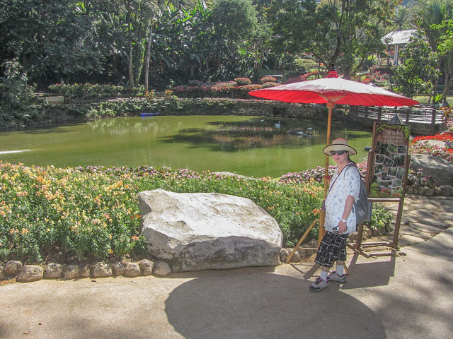 泰國美塞縣 董山 (Doi Tung / ดอยตุง) Mae Fah Luang Garden (皇太后御花園)