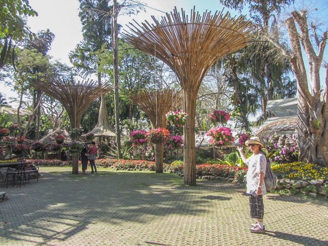 泰國董山 (Doi Tung) Mae Fah Luang Garden (皇太后御花園)