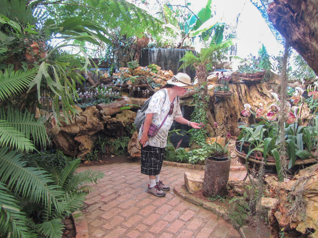 泰國董山 (Doi Tung) Mae Fah Luang Garden (皇太后御花園) 蘭花區