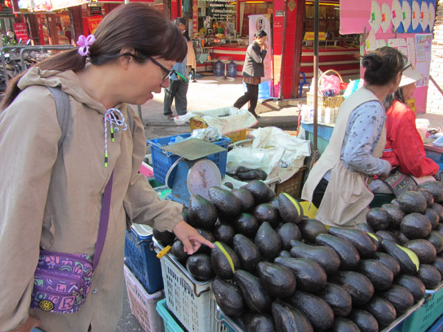 泰國清萊市 清萊中央街市 (Kad Luang Chiang Rai Market) 牛油果