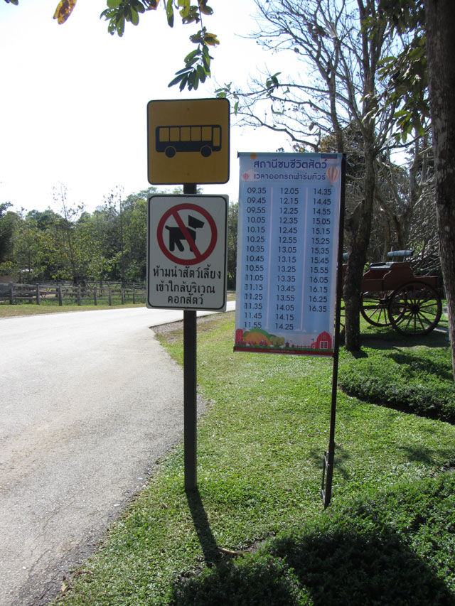 泰國清萊聖獅公園 動物園車站遊覽車時刻表