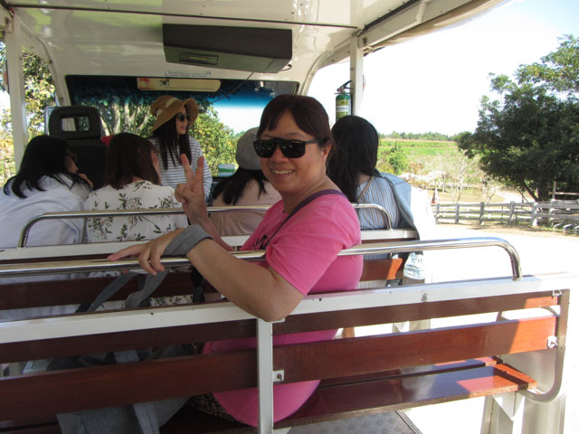 泰國清萊聖獅公園 遊園遊覽車