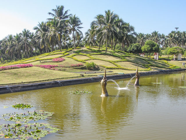 泰國清邁市拉查帕皇家花園 (Royal Park Rajapruek) 椰林、蓮花池