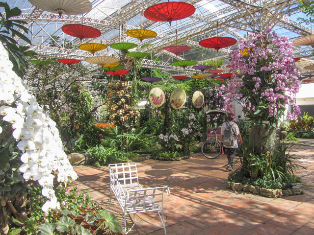 泰國清邁拉查帕皇家花園(Royal Park Rajapruek) 蘭花庭園 (Orchid Pavillion)