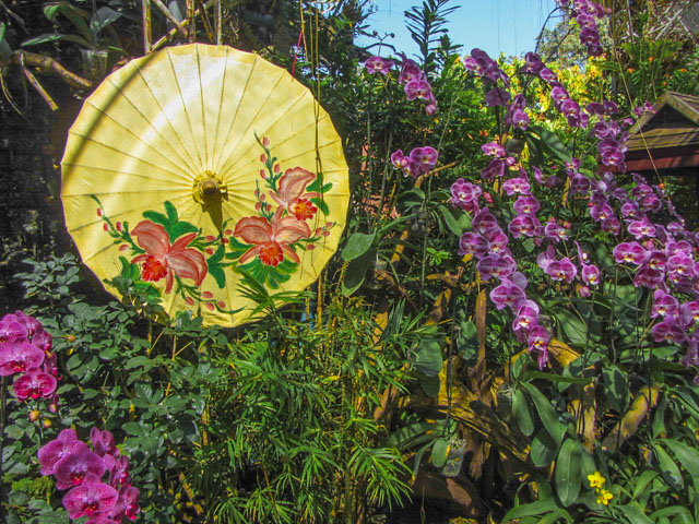 泰國清邁拉查帕皇家花園(Royal Park Rajapruek) 蘭花庭園 (Orchid Pavillion)