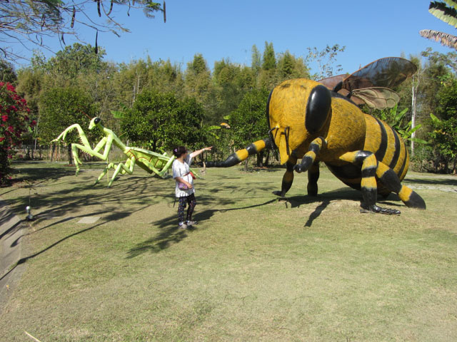 泰國清邁拉查帕皇家花園(Royal Park Rajapruek) 昆蟲世界 (Bug World)