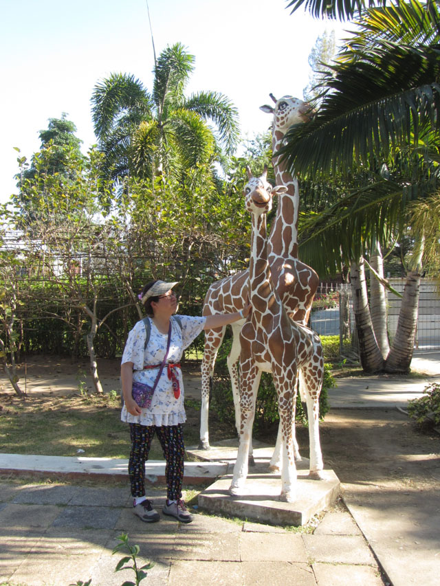 泰國清邁拉查帕皇家花園(Royal Park Rajapruek) 動物雕像