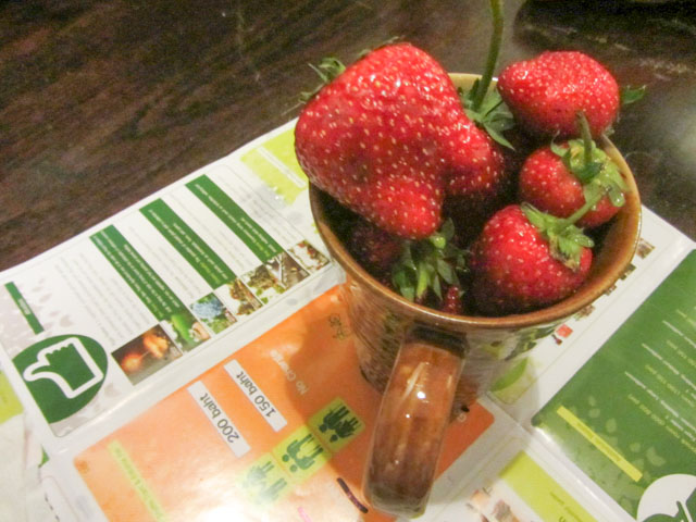 泰國清邁草莓