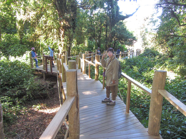 泰國 茵他儂國家公園 (Doi Inthanon National Park) 山頂 - Angkha Nature Trail 自然教育徑